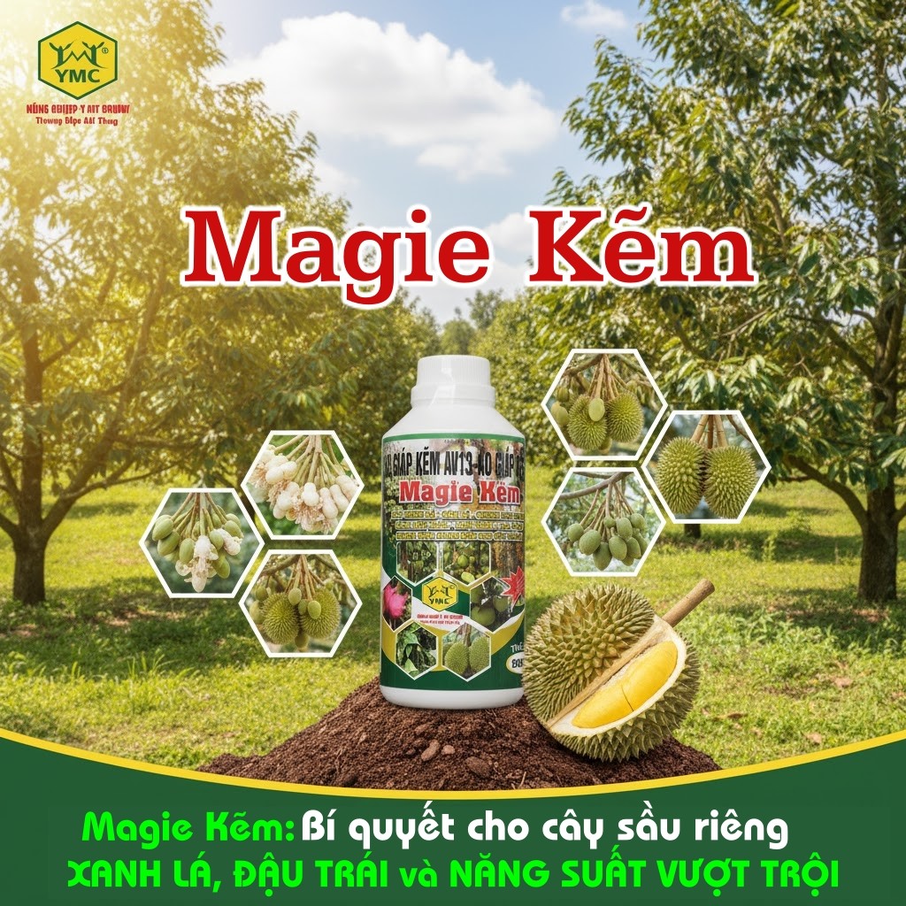 [Phân bón lá] Magie Kẽm Áo giáp kẽm (chai 500ml) - siêu xanh lá - dày lá - Quang hợp mạnh - tăng đậu