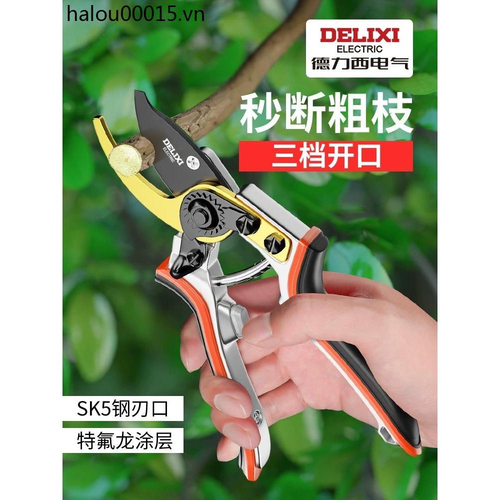 Delixi Cắt Tỉa Kéo Làm Vườn Kéo Cắt Tỉa Vườn Cây Trái Cây Cắt Tỉa Đặc Biệt Kéo Hoa Nghệ Thuật Cắt Tỉ