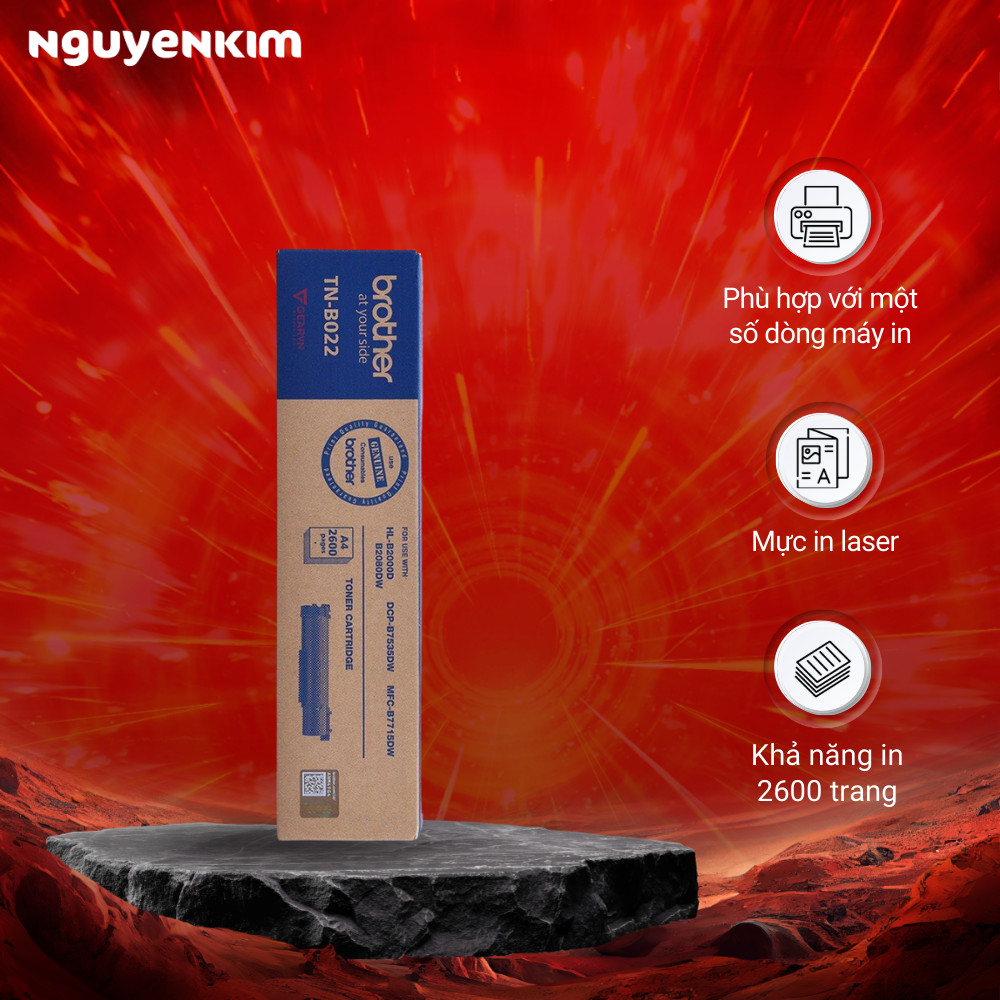 Mực in Brother TN-B022