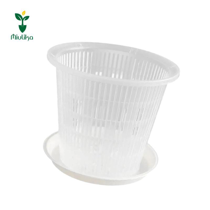 Miulika Cây lan trong suốt Chậu lưới thông gió Khay thoát nước cho cây trồng trong nhà Hỗn hợp bầu h