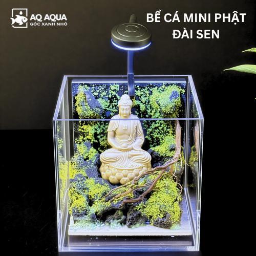 Hồ cá mini để bàn Phật đài sen, bể cá thủy sinh để bàn, layouts thủy sinh, decor văn phòng