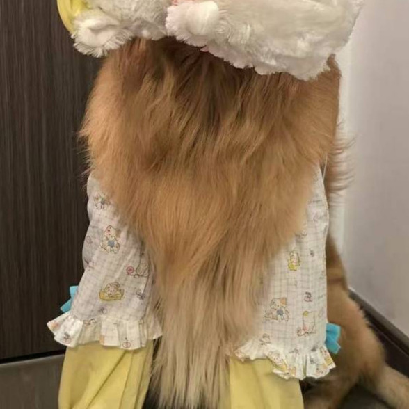 Pet Dog Elbow Pad Joint Protective Cover Large Dog Knee Pad Anti-Dirty Artifact Pet Clothes Four Sea