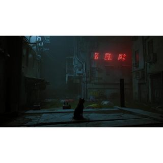 Băng Game Stray Nintendo Switch