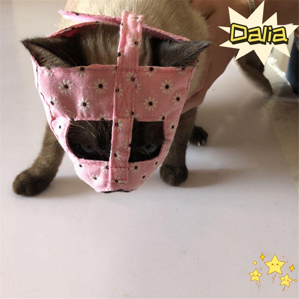 Chải lông mèo con DALIA chống cắn