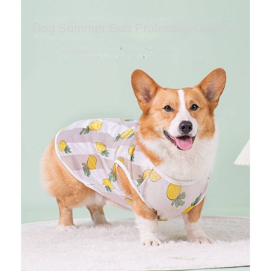 Corgi Clothes Spring and Summer Gauze Vest Breathable Comfortable Anti-Lint Pet Dog Sun Protection C