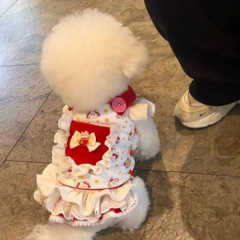 Small Dog Pet Clothes Dog Cat Clothes Universal Small Skirt Bichon Pomeranian Corgi Teddy Princess D