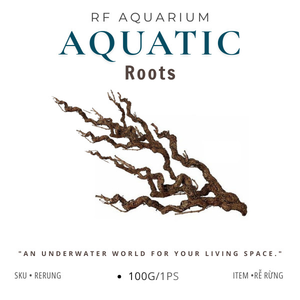 100g Rễ Rừng