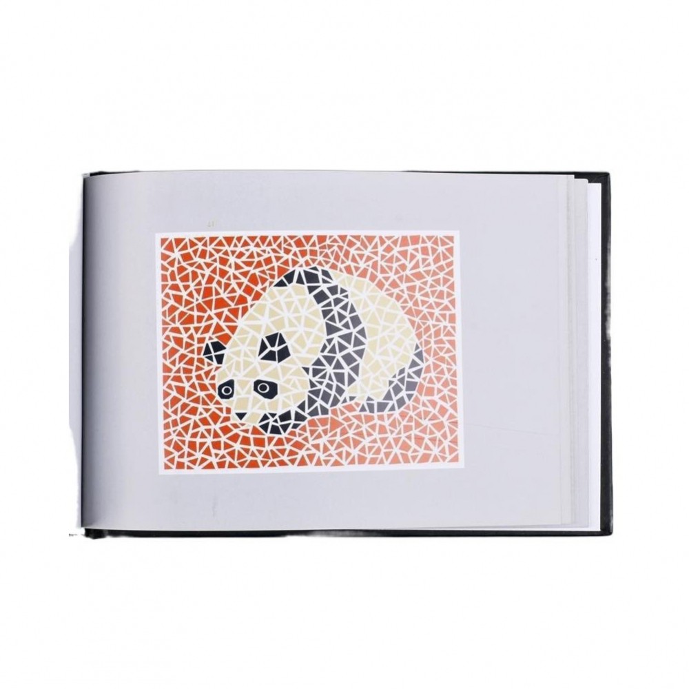 Bộ kiểm tra thị lực màu 2 Sách mù màu Ishihara 03D với 48 tấm kiểm tra