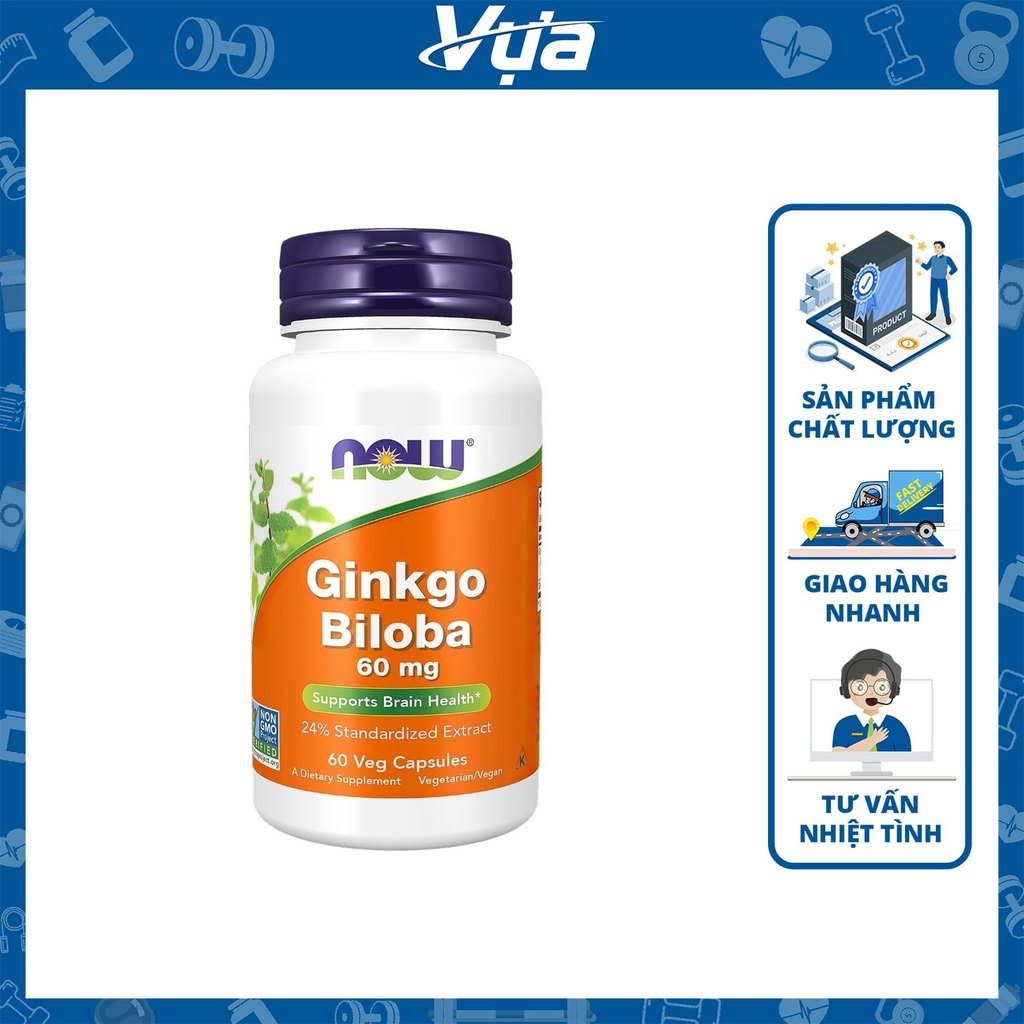 Viên Uống NOW - Ginkgo Biloba 60mg (60 viên) - Hỗ Trợ Tuần Hoàn Não