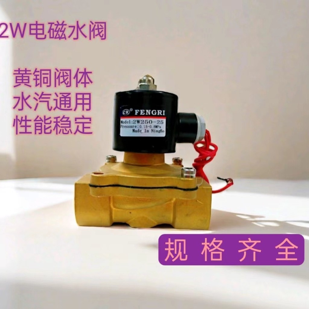 2w Series Van Điện Từ Van Nước Hai Vị Trí Hai Chiều 2W250-25 Van Điện Từ Van Đồng Van Khí Tkcbj
