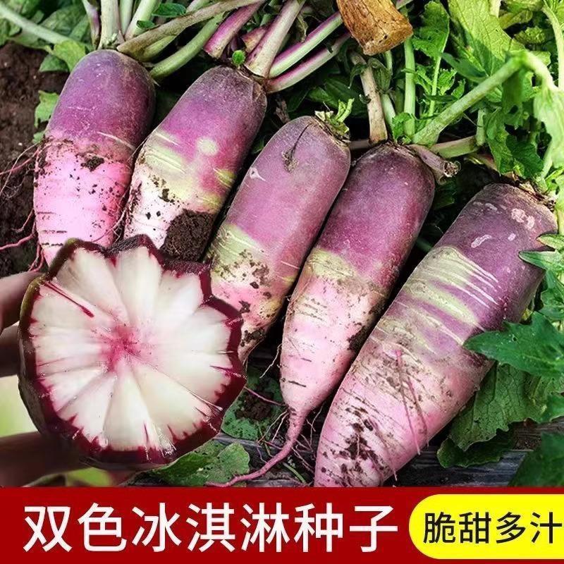 Kem Trái Cây Củ Cải Hạt Ngọt giòn Kem Củ Cải Hạt Bốn Mùa Daejeon Hạt Rau Daquan