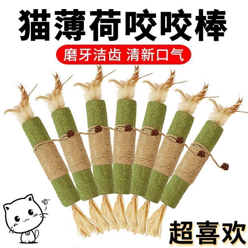 20260107Đồ chơi cho mèo, Catmint, Dán răng, Cat Self-hi, Hiện vật chống hoang dã, Răng, Trà Cat Stic