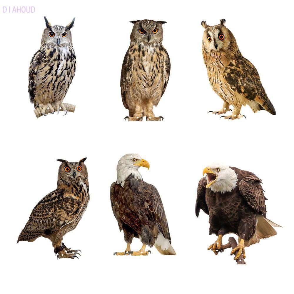 DIAHOUD Bird Repel Owl Scarecrow Ban công hình chữ nhật