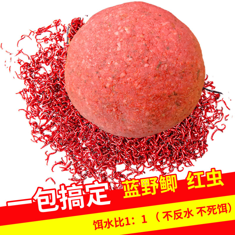 Sujuda Lanye Crucian Cá Chép Đỏ Giun Câu Cá Mồi Mùa Đông Hoàn Thành Crucian Cá Chép Cá Rô Cá Câu Cá 