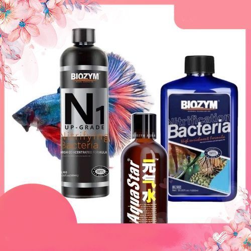 Hướng dẫn sử dụng bộ 3: Biozym N1, Biozym Bacteria Fresh & Marine và Biozym Aqua Star .namaquatic