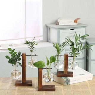 Benytro thủy tinh trồng cây kiểu dáng vintage độc đáo
