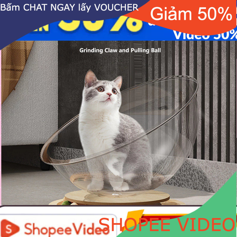 Channsusu1 (Sẵn 1 Freeship) Giường trong suốt cho Mèo Ổ Đĩa Gỗ Rắn Đồ Chơi Bạc Hà Mèo Vui Chơi