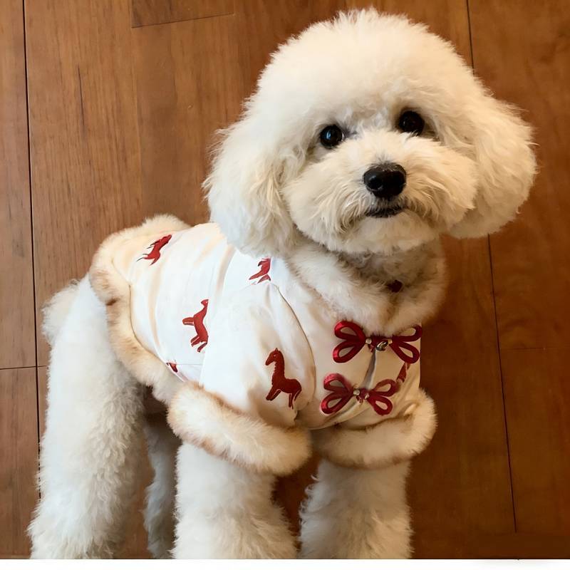 Dog New Year Clothes New Chinese Tang Suit Dog Cat Festive New Year Clothes Warm-Keeping and Cold-Pr