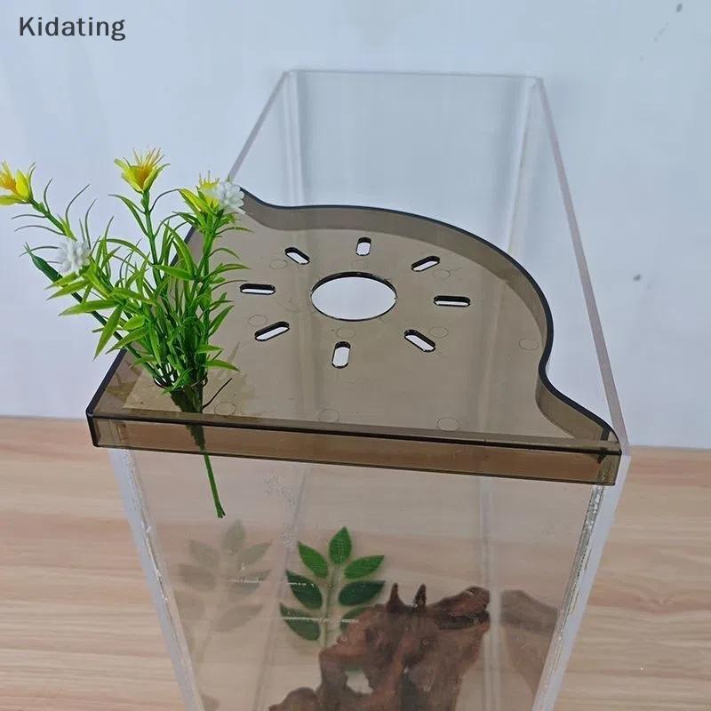 Kiding Fish Tank Corner Storage Ra Punch-free Storage Ra Fish Tank Top Landscape Braet Hydroponic Gr
