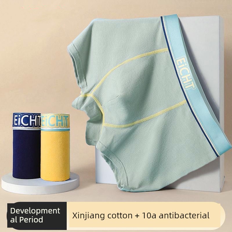 quần xịp đùi nam quần sịp nam Quần lót thanh thiếu niên quần đùi chống vi khuẩn cotton trẻ em vừa và