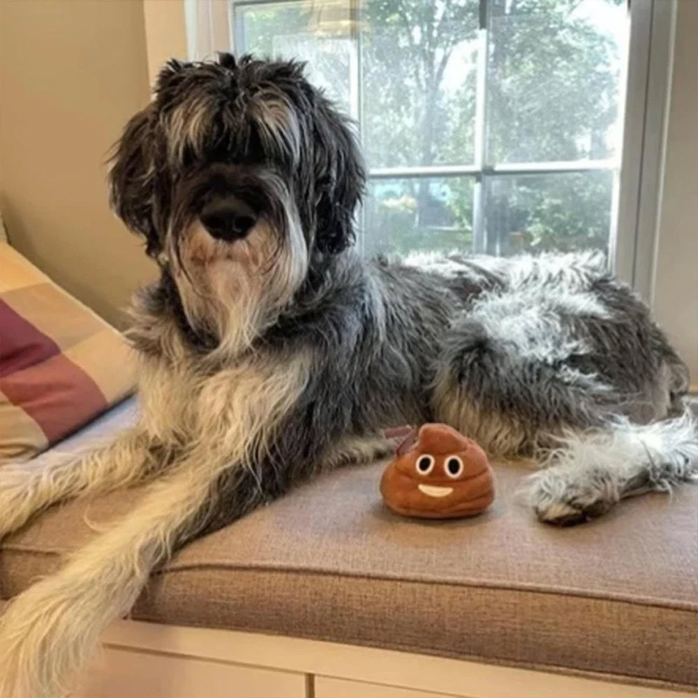 Funny Talking Poop Plush Toy,Makes Fart Sounds, Fake Poop Dog Toy for Kids & Dog