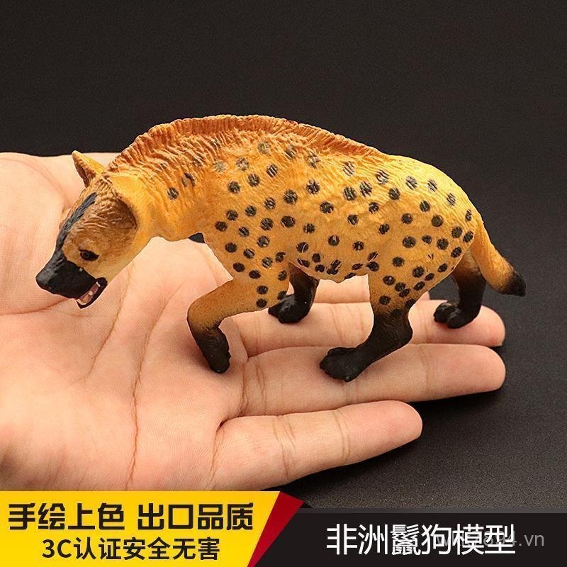 Châu Phi Hoang Dã Mô Hình Chó Mô Phỏng Trẻ Em Nhận Thức Hoang Dã Phát Hiện Iguana Coyote Anh Thứ Hai