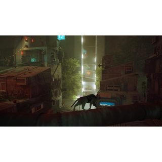 Băng Game Stray Nintendo Switch