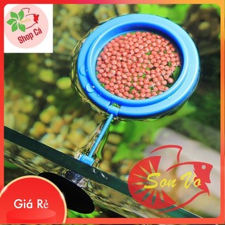 Vòng cho cá ăn - giữ thức ăn không bị phân tán
