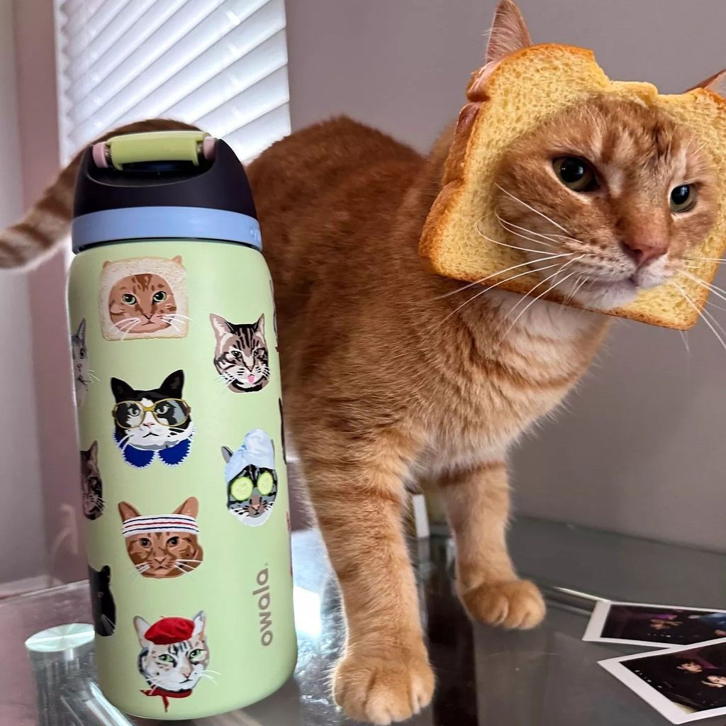 New Product#owala Multi-color Sports Cold Cup Stainless Steel Insulated Cup with Built-in Straw Larg