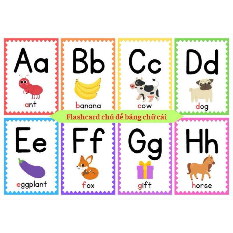 Thẻ Học Bảng 26 Chữ Cái Tiếng Anh A5 Ép Plastic – Flashcard Alphabet Cho Bé Kèm Từ Vựng & Hình Ảnh