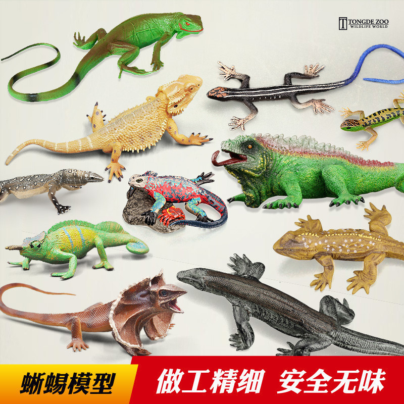 T Trẻ Em Đức Mô Phỏng Thằn Lằn Đồ Chơi Bò Sát Mô Hình Chameleon Komodo Thằn Lằn Iguana Tắc kè Đồ Tra