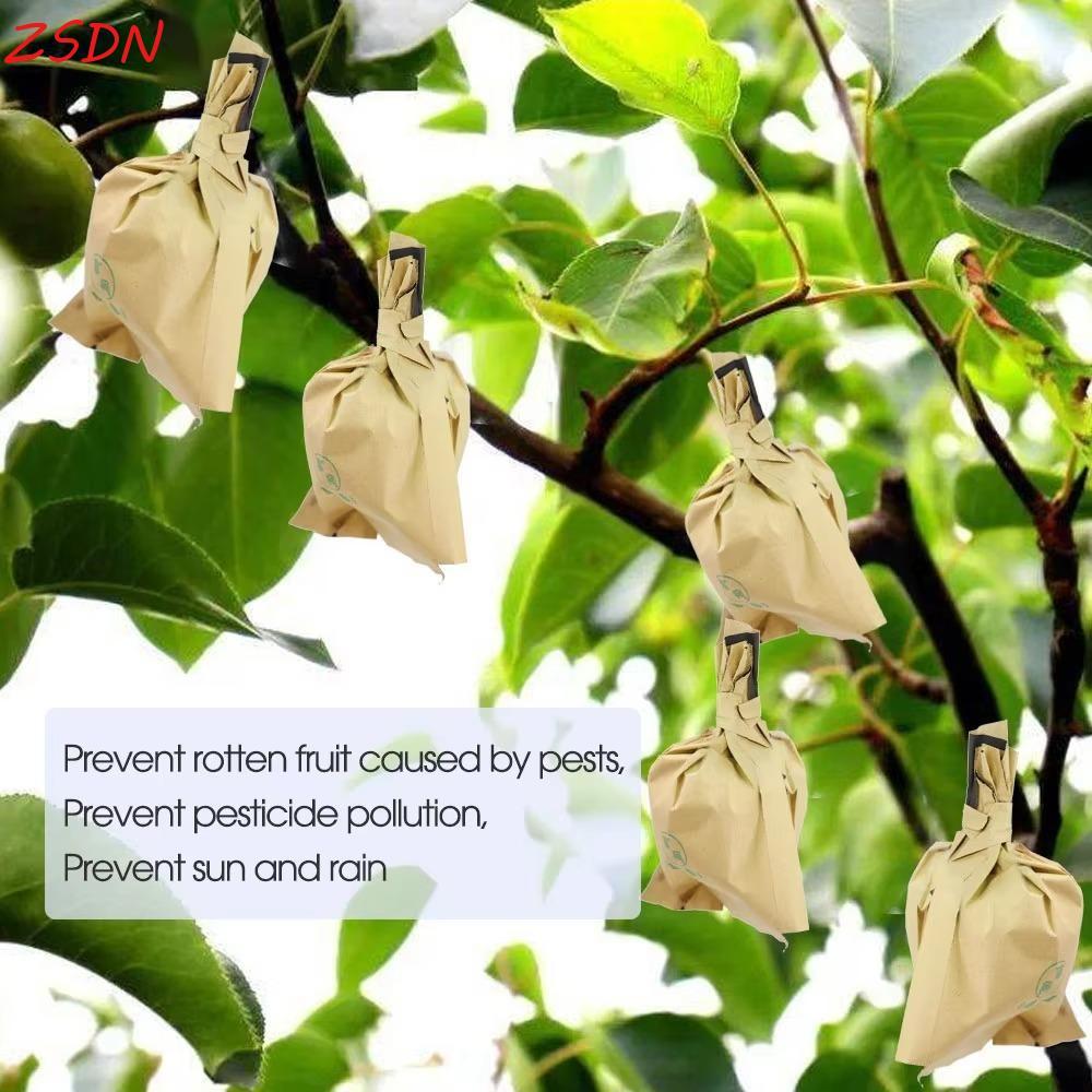 ZSDN 100 Túi Bảo Vệ Trái Cây Orchard, Vỏ Bảo Vệ Nho Chống Thấm Nước Chống Chim, Chống Nắng Bền Thoán