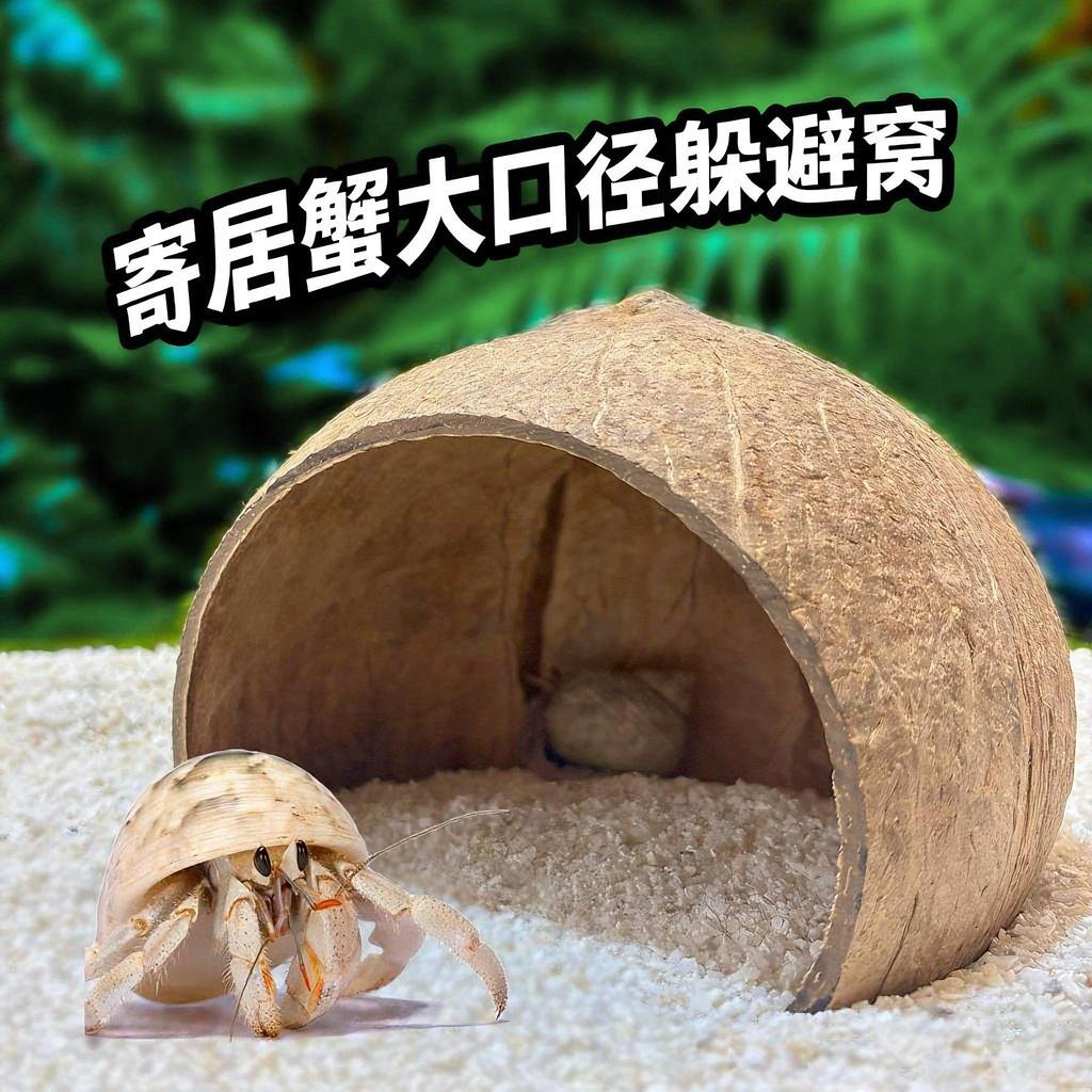 ❈ ❈ ❈ ❈ 🍎 ❈ 大 ✷ 号 ❈ ❈ ❈ ❈ ❈ ❈ ❈ ❈ ❈ ❈ ❈ ❈ ❈ ❈ ❈ ❈ ❈ ❈ ❈ ❈ Nhà tránh cua ẩn danh Nhà dứa nhỏ Vỏ dừa20