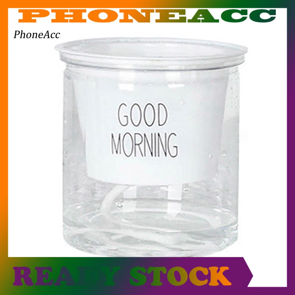 2 Bộ Hai Tầng Thủy Canh Epipremnum Aureum Tự tưới Hoa Trang Trí Nhà