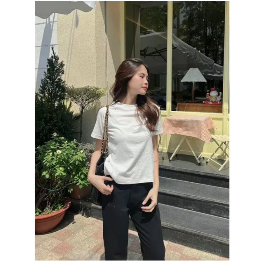 Áo Thun Baby Tee Trơn Tay Zap Lăng Cổ Tròn Dáng Ôm Cotton new version 2026