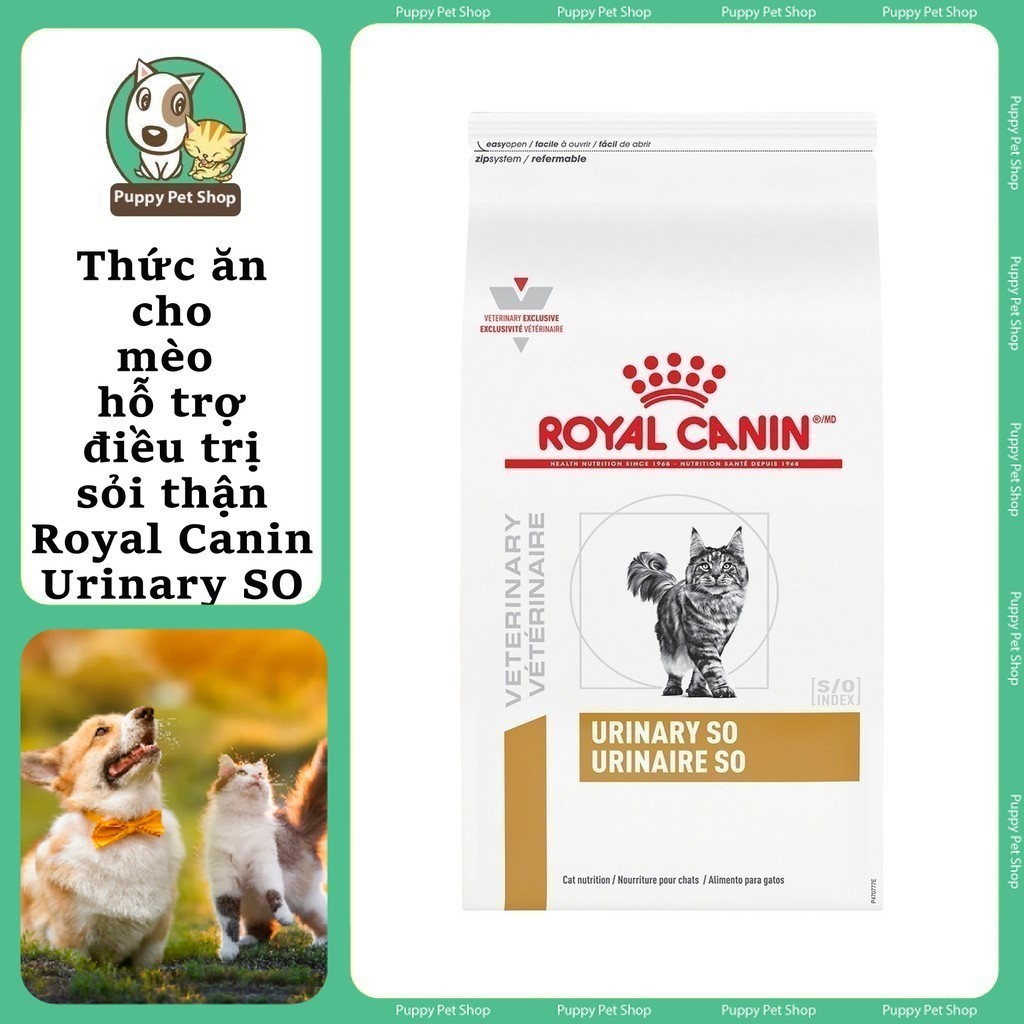 [Gói lẻ] Thức ăn hạt Royal Canin cho Mèo - Royal Canin Fit32, Royal Canin Indoor, Royal Canin Hair&S