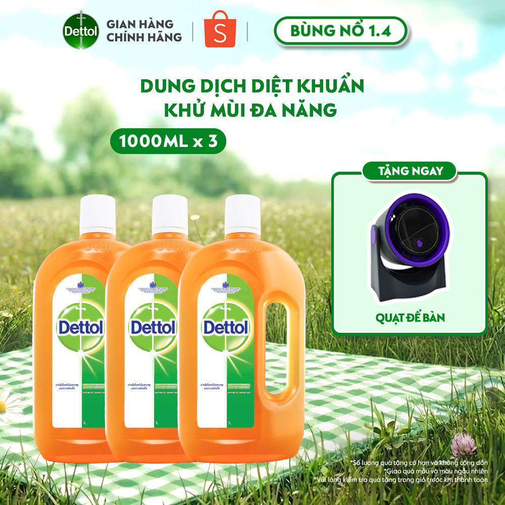 Combo 3 Dung Dịch Diệt Khuẩn Khử Mùi Đa Năng Dettol, Chai 1L