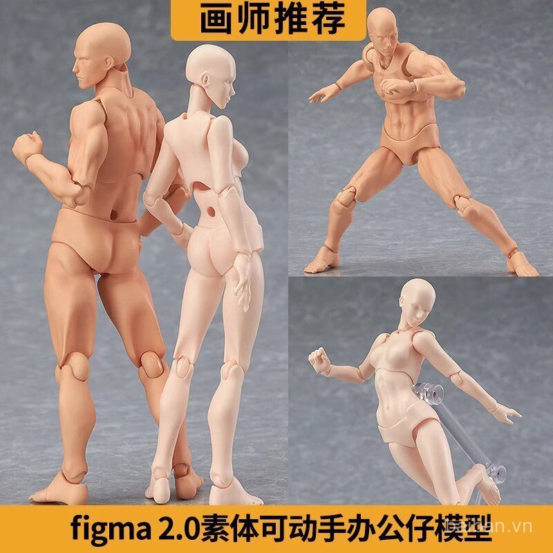 SHF Cơ Thể Tiện Dụng Mô Hình Nghệ Thuật Tranh Tham khảo Nam Nữ Dụng Cụ Đồ Trang Trí figma Chung Nhân