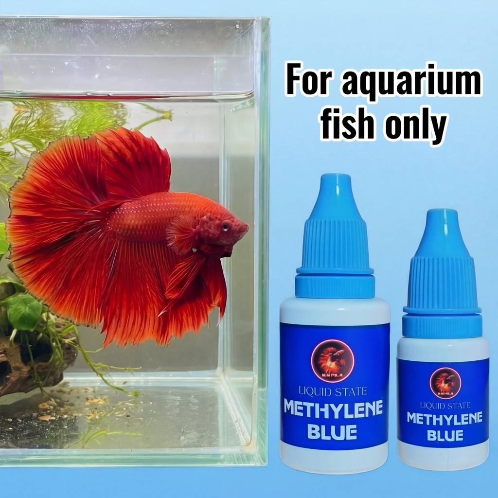Xanh Methylene Cho Cá Cảnh - Xử Lý Các Vấn Đề Ngoài Da