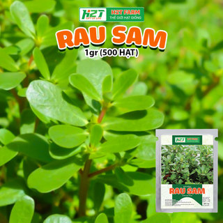 Hạt giống rau sam 1 gram - thơm ngon, giàu dinh dưỡng, trồng quanh năm - H2t Farm