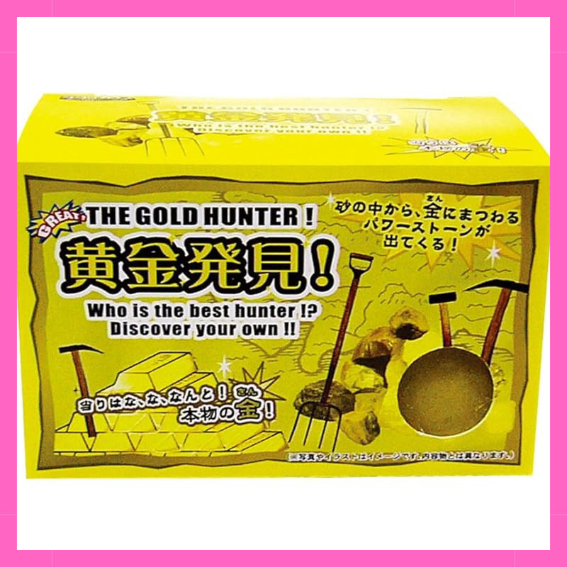 Nor Corporation Treasure Discovery Series Gold Discovery TKZ-7-01