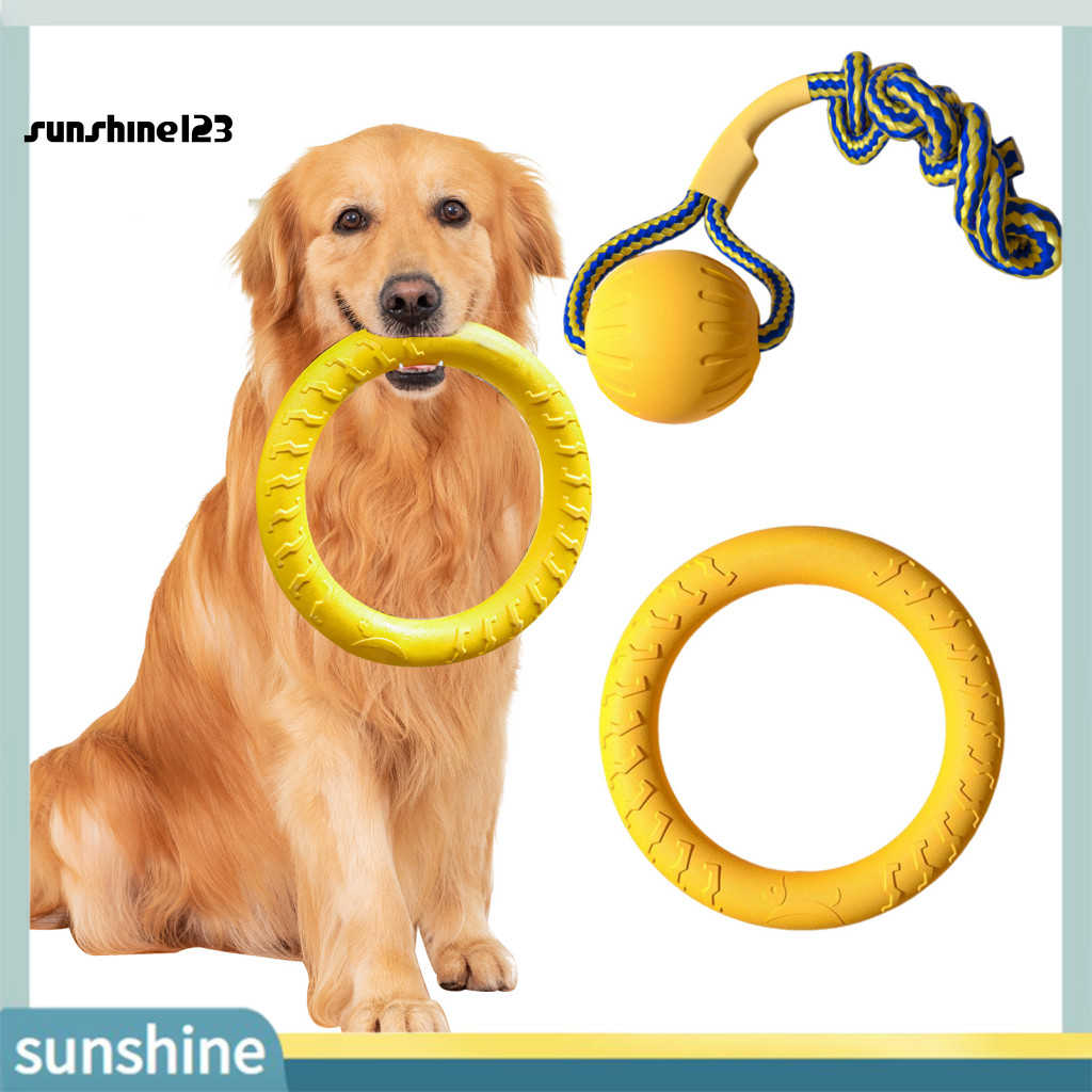 < Sunshine123 > Đồ chơi huấn luyện chó Đồ chơi nhai cho chó Đồ chơi đĩa bay cho chó nhai – Vòng huấn