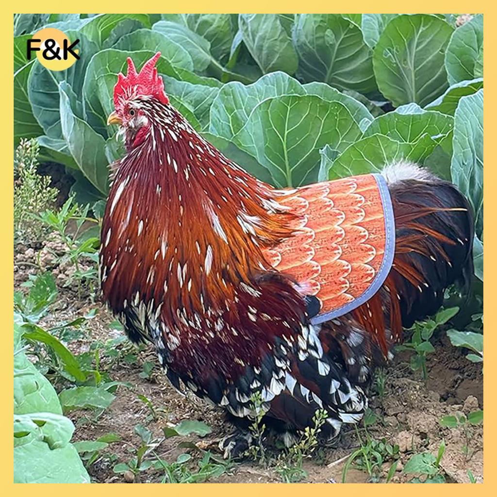 Yên ngựa F & K Chien cho gà mái, Tạp dề Chien Ba Bảo vệ cho gà mái có dây đeo có thể điều chỉnh, Yên