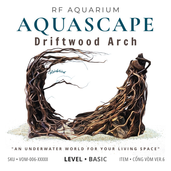 RF Aquarium | Layout Thuỷ Sinh Cổng Vòm Ver.6 l Layout Trang Trí Bể Thủy Sinh Đa Dạng Kích Thước