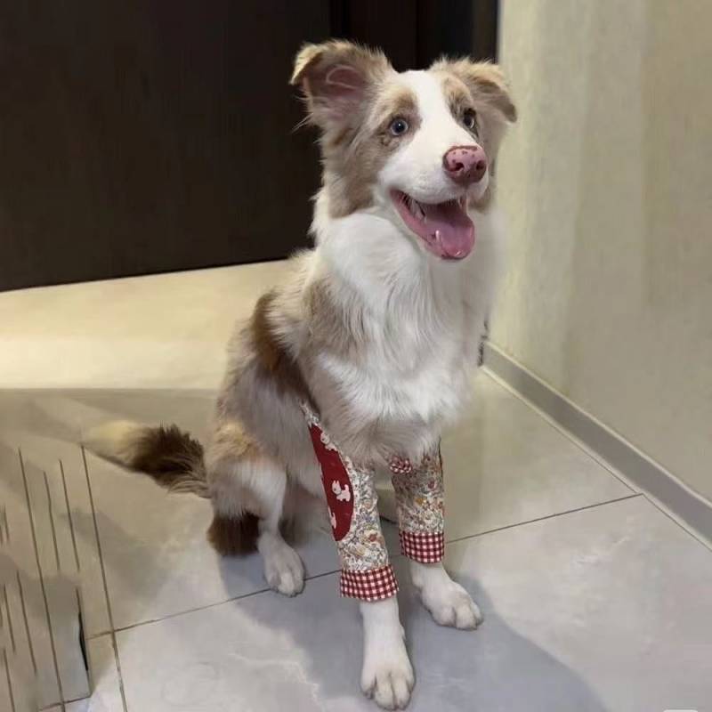 New Dog Pet Clothes Handsome Lace Princess Style Elbow Pad Super Cute Samo Alaska Anti-Dirty Knee Pa