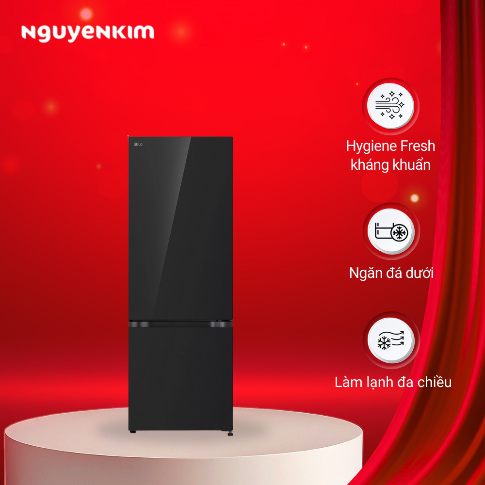 Tủ lạnh LG Inverter 335 lít LBB33BLGA