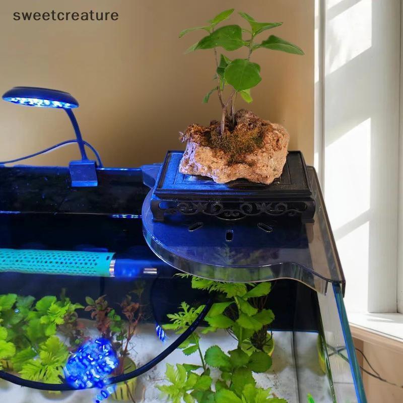 # sweetcreature # Fish Tank Corner Storage Ra Punch-free Storage Ra Fish Tank Top Landscape Braet Hy