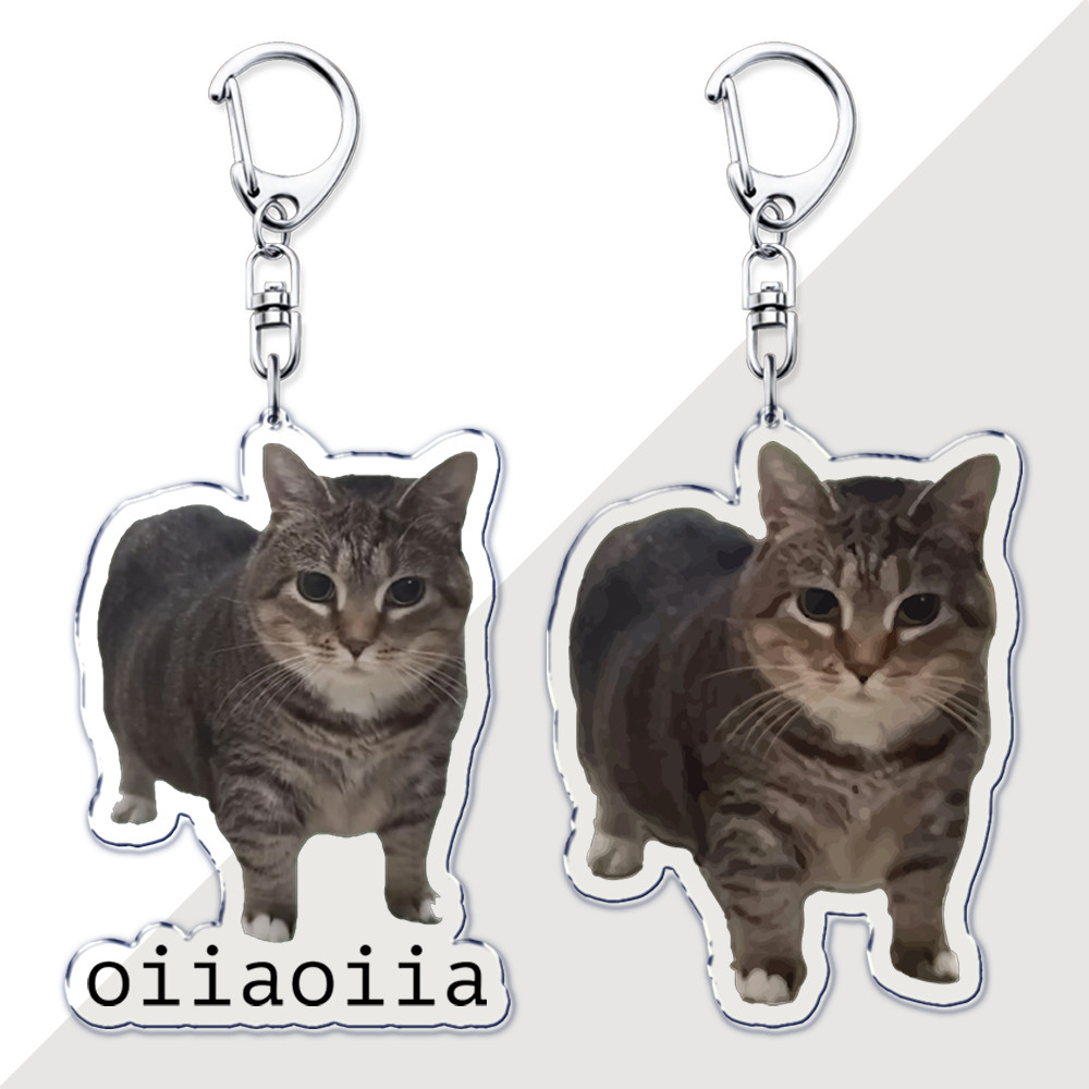 Funny Brainrot Spinning Cat Keychains for Accessories Bag OIIA OIIA Meme Uia Meow Key Chain Ring Jew