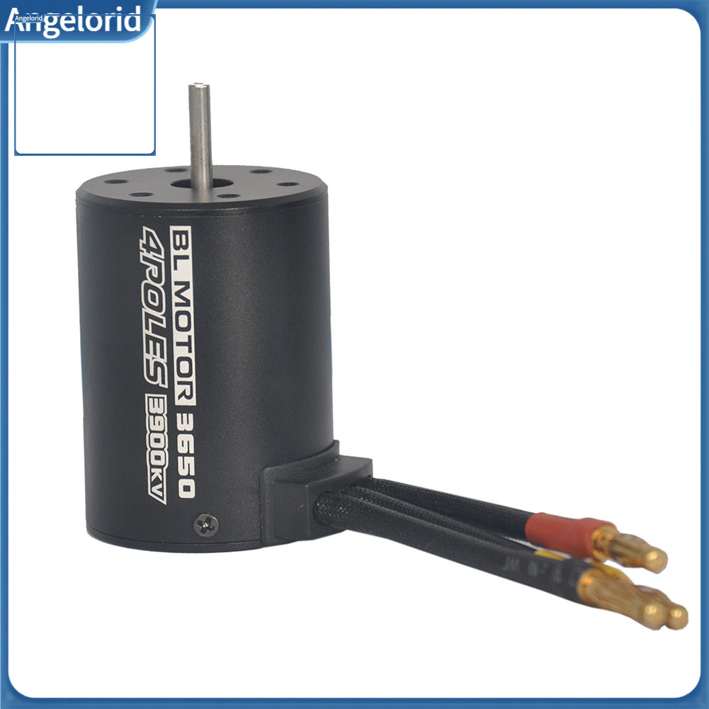 Thiên thần| BL3650 3900KV 4 cực 12 khe Động cơ không chổi than mô-men xoắn cao cho xe tải RC 1: 10