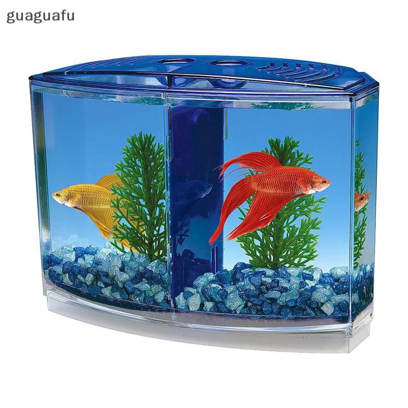 [guaguafu] Hộp cá chiến đấu hai ngăn lớn Eco Rumble Fish Aquarium Mini Bể cá Hộp cách ly bằng nhựa H